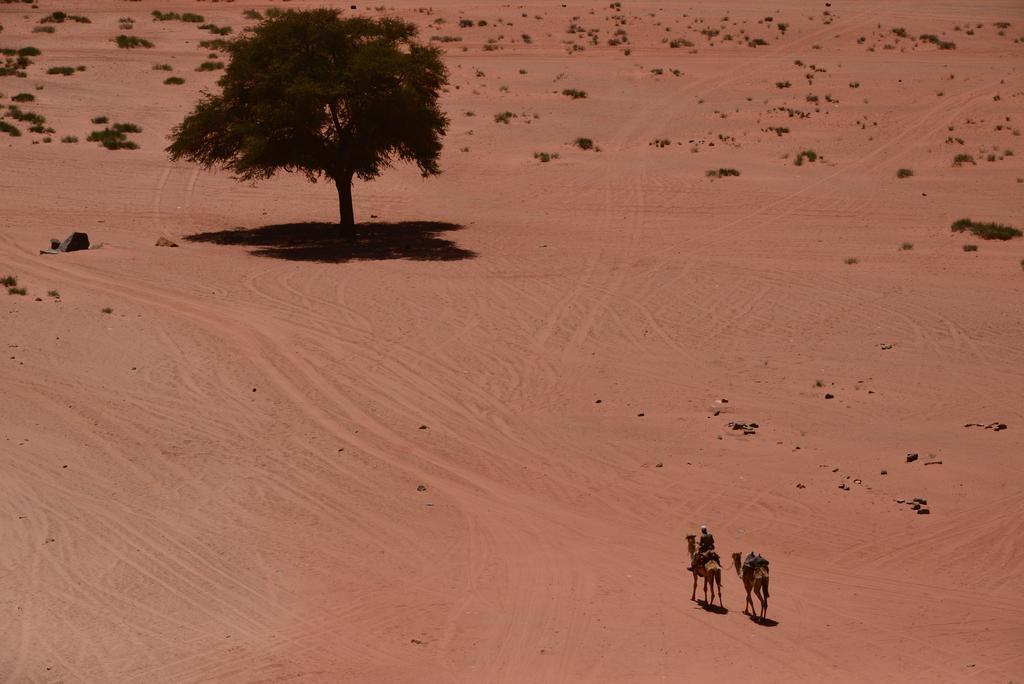 Wadi Rum Sleep Under The Stars Exterior photo